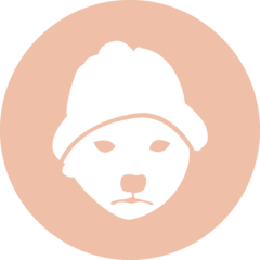 dogwifhat