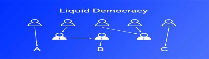 waves liquid democracy