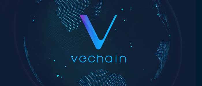 vechain