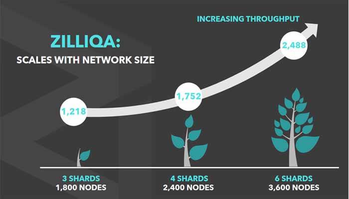 zilliqa